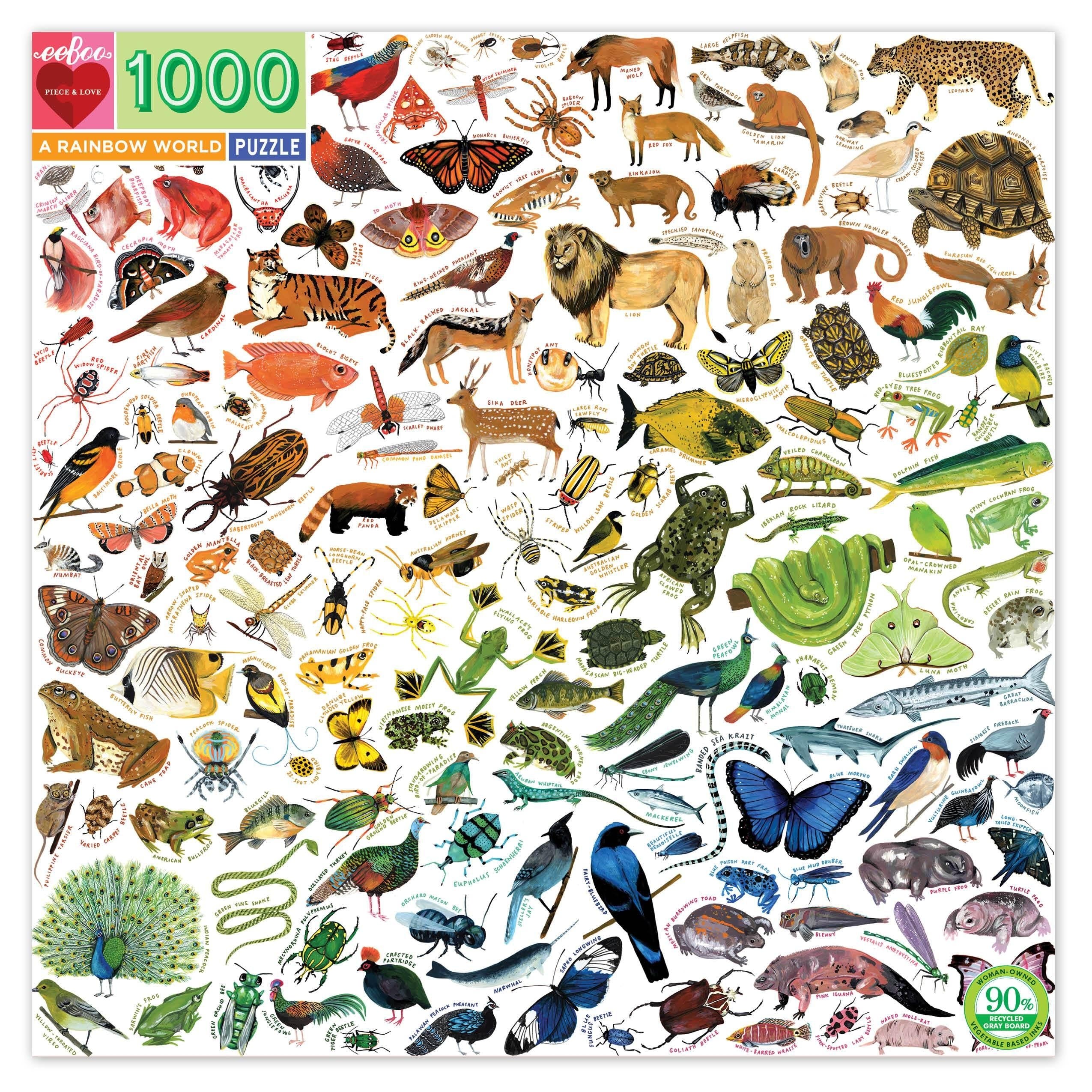 Rainbow World - 1000pc