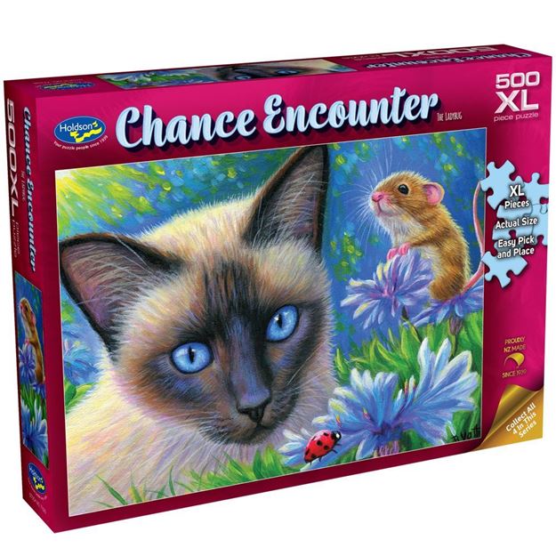 The Ladybug 500 XL - Chance Encounter
