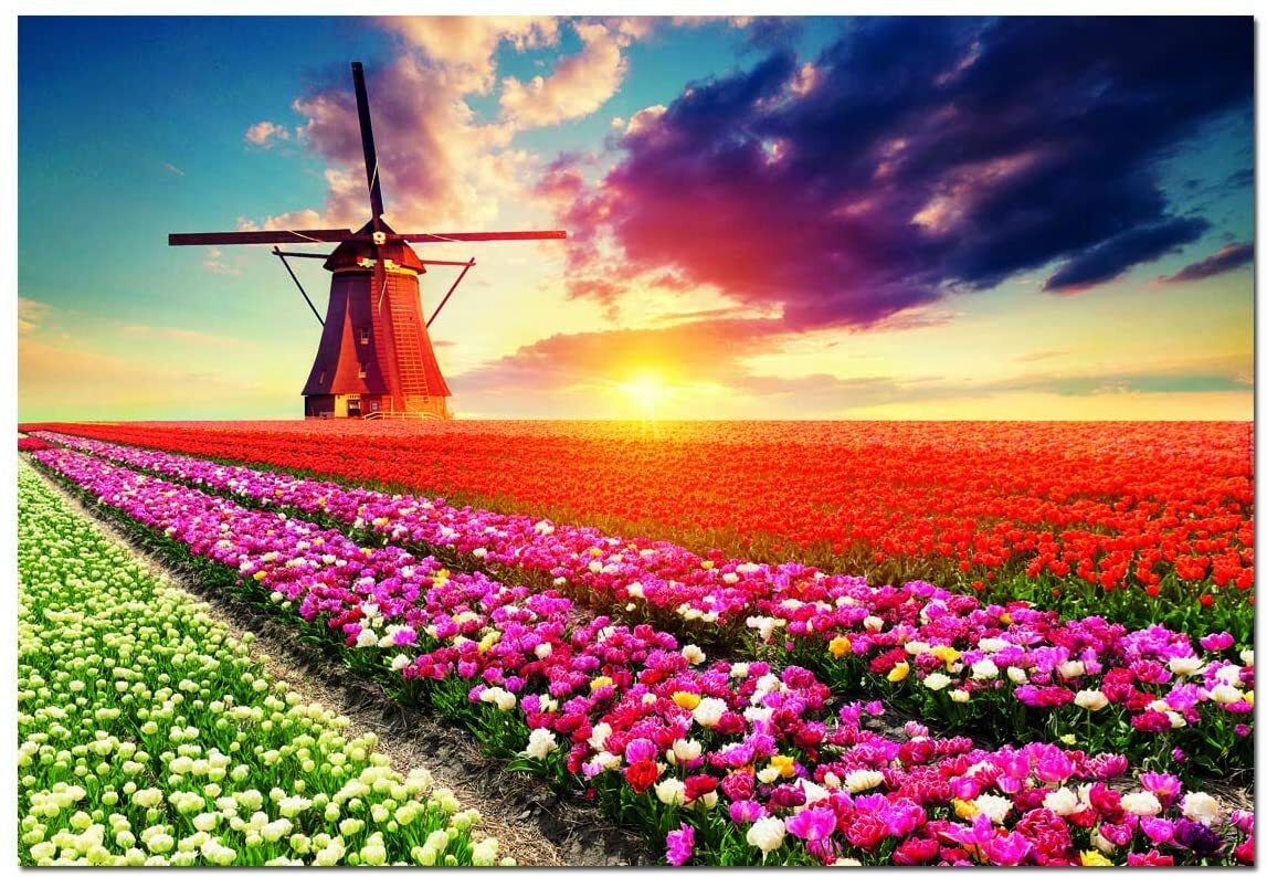 Tulips Landscape 1500Pc Educa