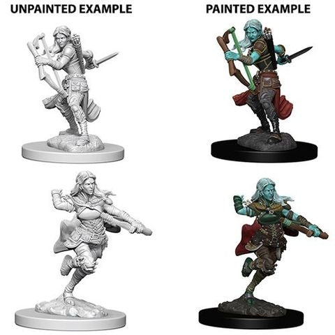 Genasi Air Female Rogue - D&D Nolzurs Marvelous Unpainted Miniatures