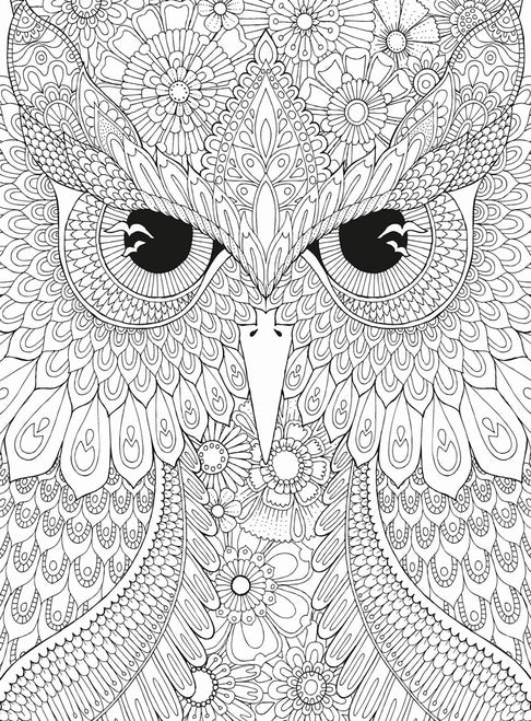 Owl Colouring Puzzle 500pc- MasterPieces