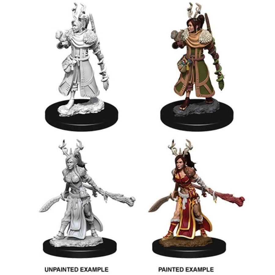 Human Female Druid - D&D Nolzurs Marvelous Unpainted Miniatures