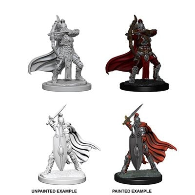 Female Knights Gray Maidens - Pathfinder Deep Cuts Unpainted Miniatures