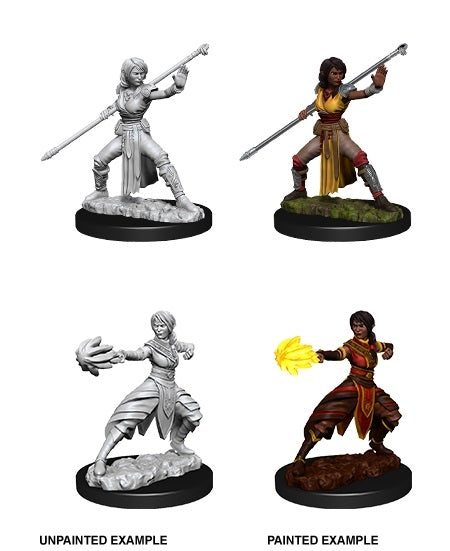 Half-Elf Female Monk - D&D Nolzurs Marvelous Unpainted Miniatures