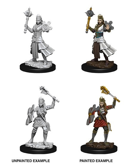 Human Female Cleric - D&D Nolzurs Marvelous Unpainted Miniatures