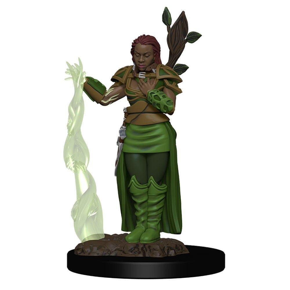 Human Female Druid - D&D Premium Painted Miniatures