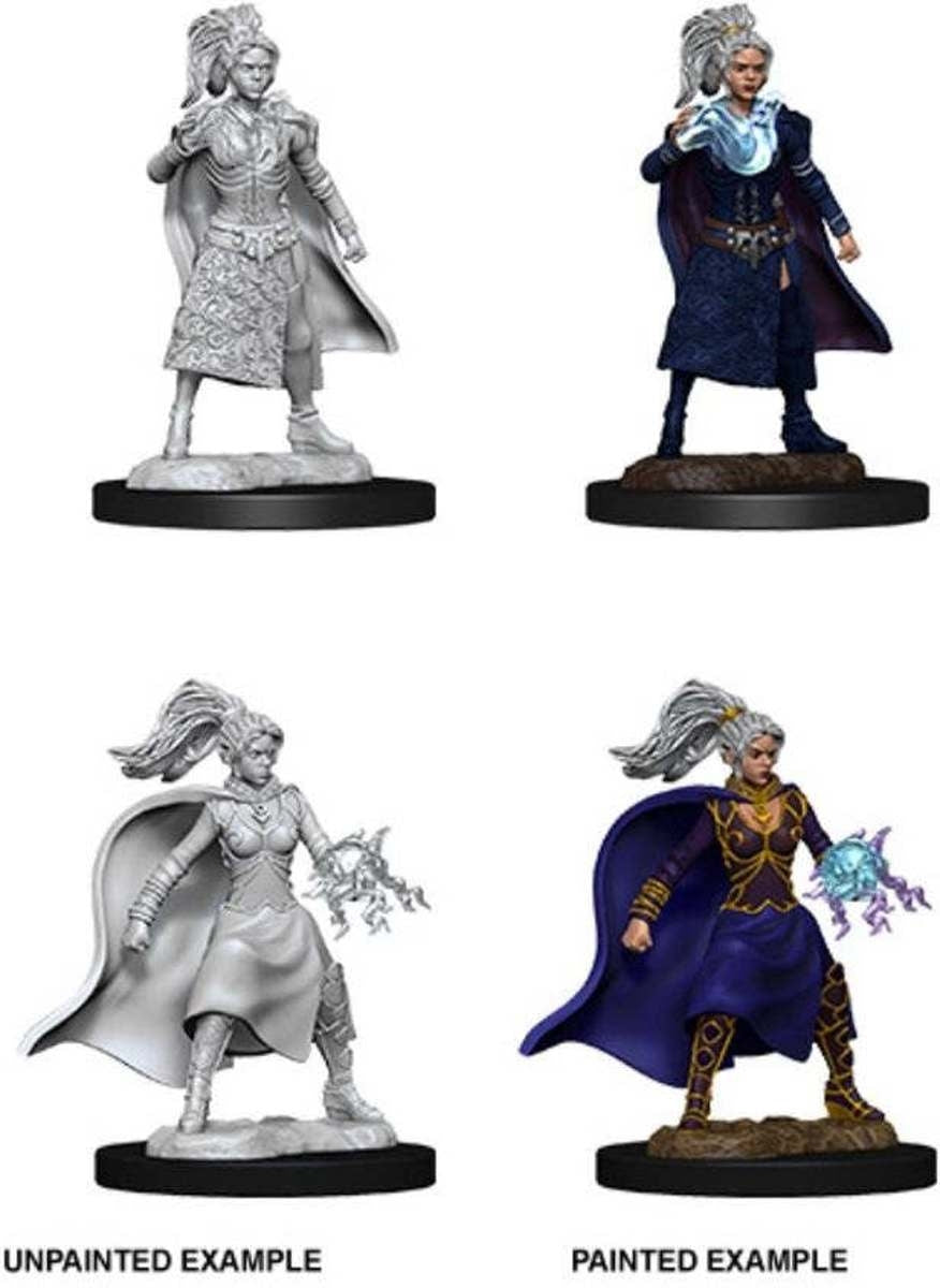 Human Female Sorcerer - D&D Nolzurs Marvelous Unpainted Miniatures