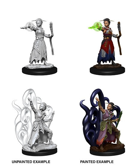Human Female Warlock - D&D Nolzurs Marvelous Unpainted Miniatures