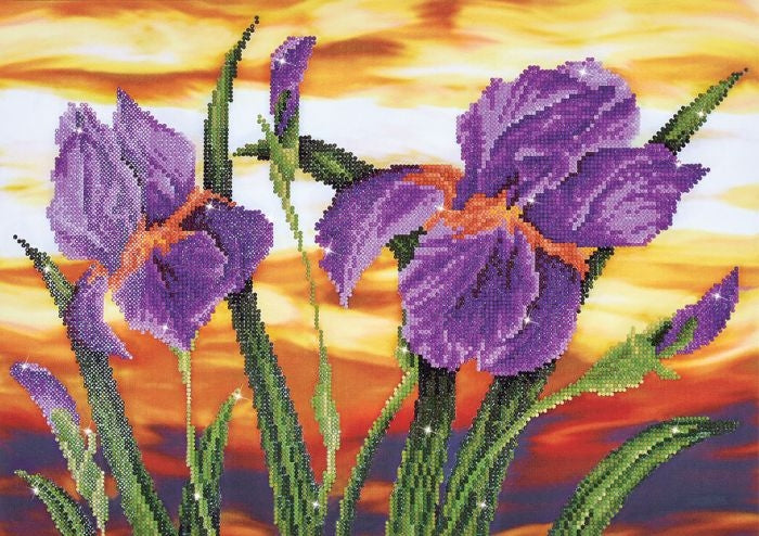 IRIS SUNSET - DDOTZ