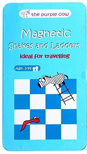 Magnetic Snakes And Ladders