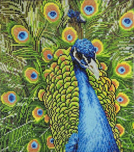 PEACOCK DIAMOND ART - Main Image