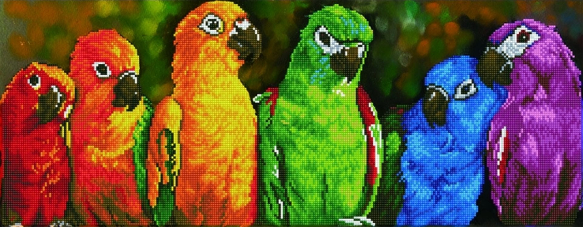Rainbow Parrots - DDOTZ