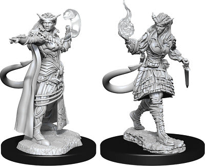 Tiefling Female Sorcerer - D&D Nolzurs Marvelous Unpainted Miniatures