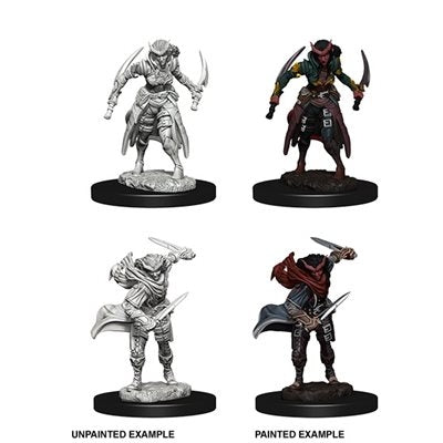 Tiefling Female Rogue - D&D Nolzurs Marvelous Unpainted Miniatures