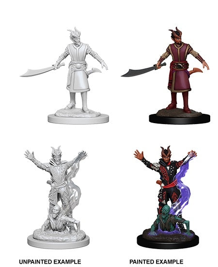 Tiefling Male Warlock - D&D Nolzurs Marvelous Unpainted Miniatures