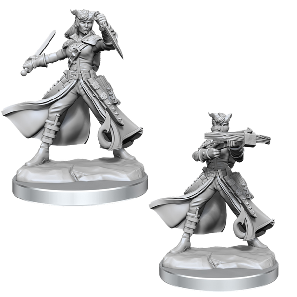 Tiefling Rogue Female D&D Frameworks