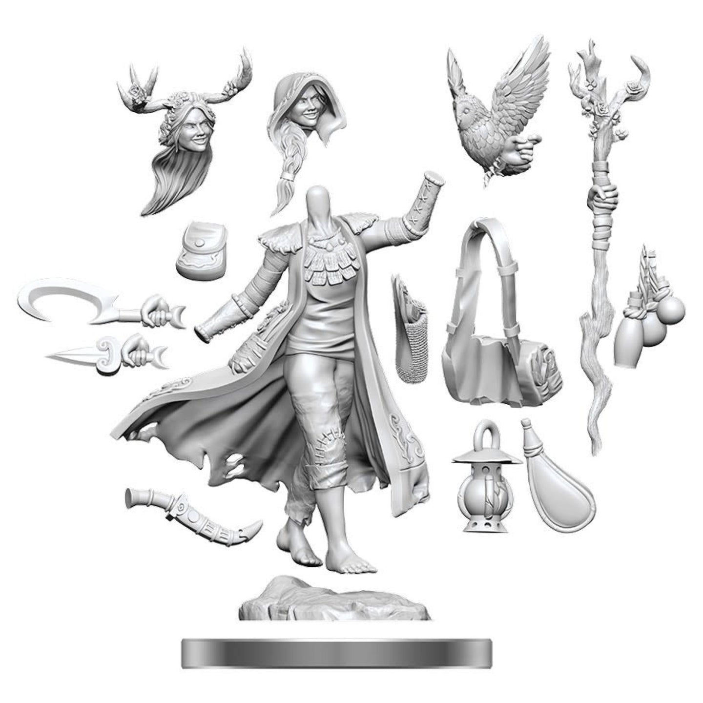 Human Druid Female - D&D Frameworks