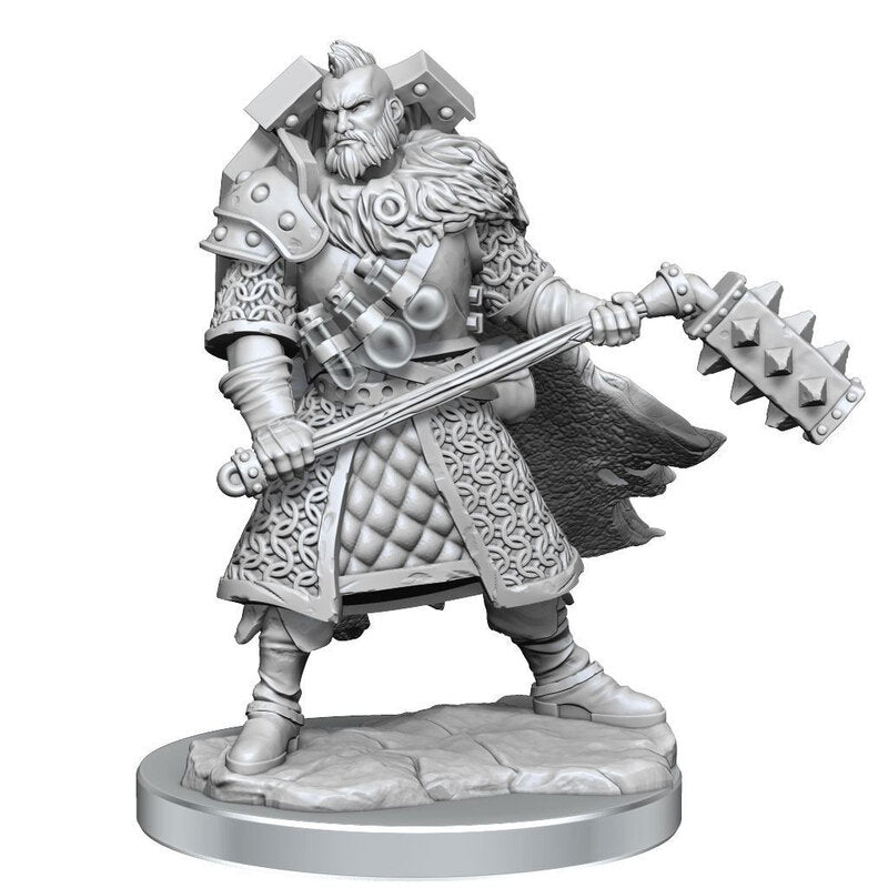 Human Male Fighter - D&D Frameworks