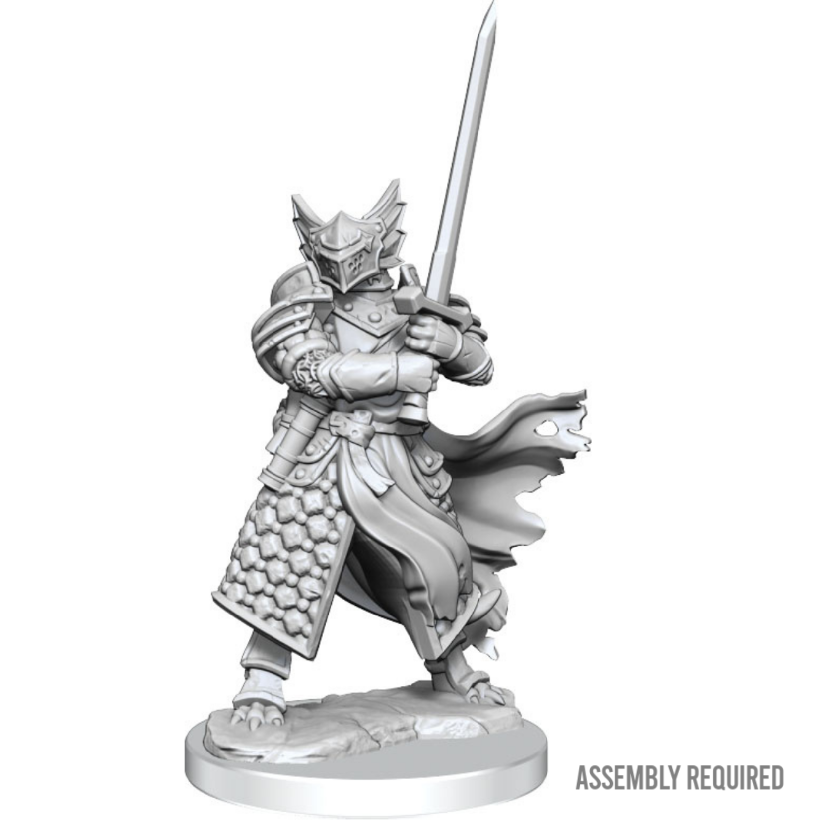 Dragonborn Paladin Male D&D Frameworks