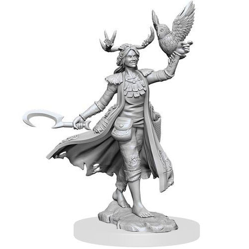 Human Druid Female - D&D Frameworks
