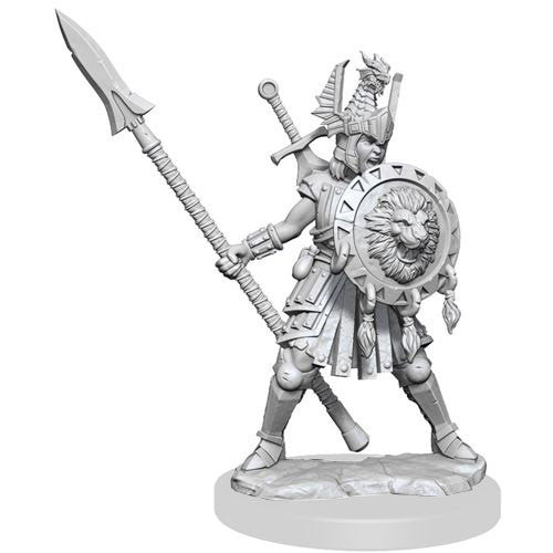 Human Fighter Female - D&D Frameworks