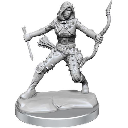 Human Rogue Female - D&D Frameworks